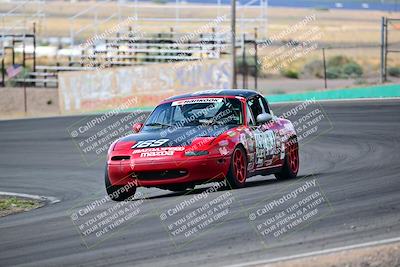 media/May-04-2025-Lucky Dog Racing (Sun) [[21629467aa]]/Turn 4 (10-1045am)/Front/